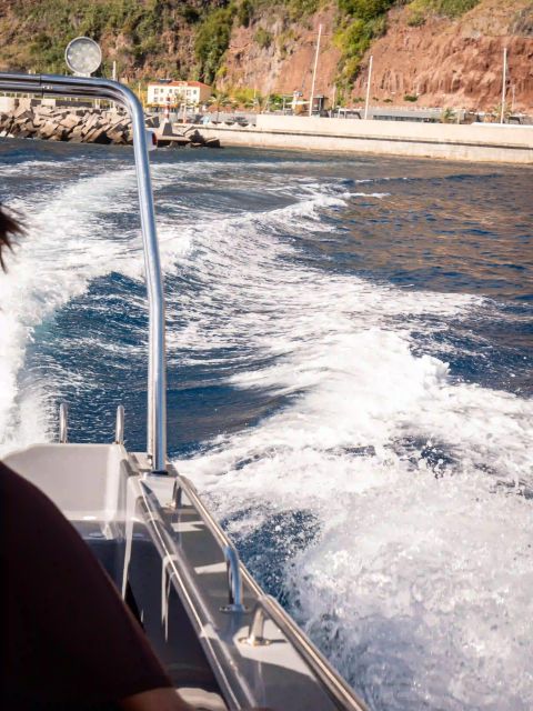 Funchal: Speedboat SEE THE ISLAND AND LIFE AT SEA - Pricing and Value: Is $41 Worth It for Funchal?