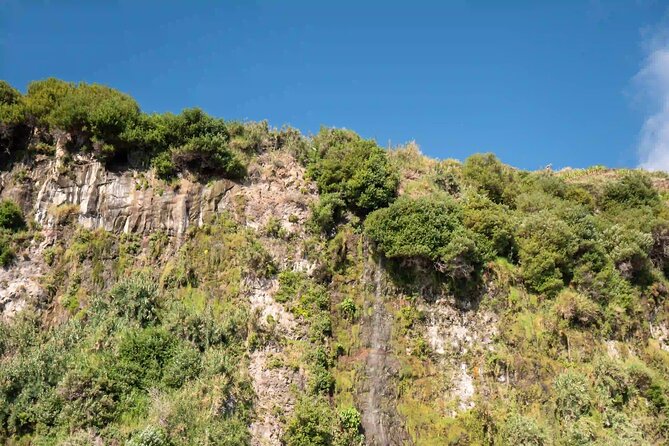 Funchal: Speedboat tour- SEE THE ISLAND AND LIFE AT SEA - Crew vibe and small comforts: organization plus friendly guidance