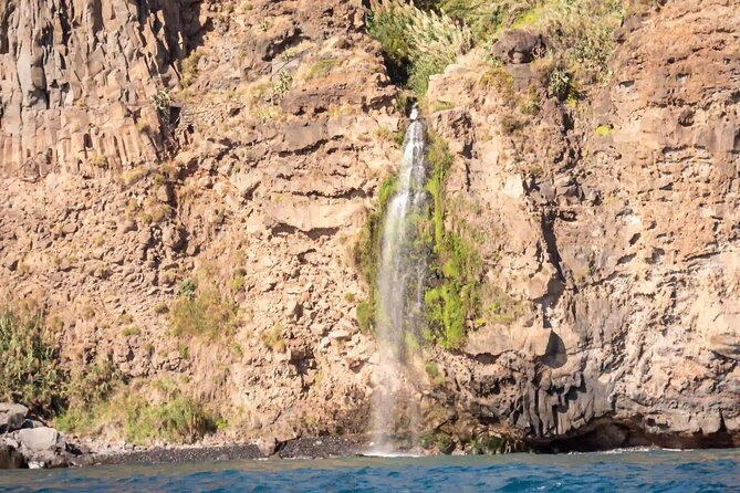Funchal: Speedboat tour- SEE THE ISLAND AND LIFE AT SEA - Eco-friendly approach and responsible time at sea