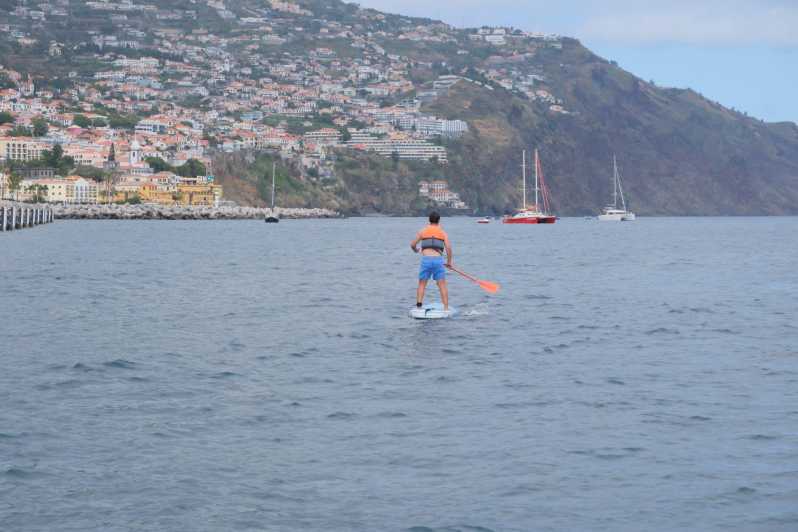 Funchal: Standup Paddle - Paddleboarding From Marina Nova do Funchal: Your 1 Hour at Sea