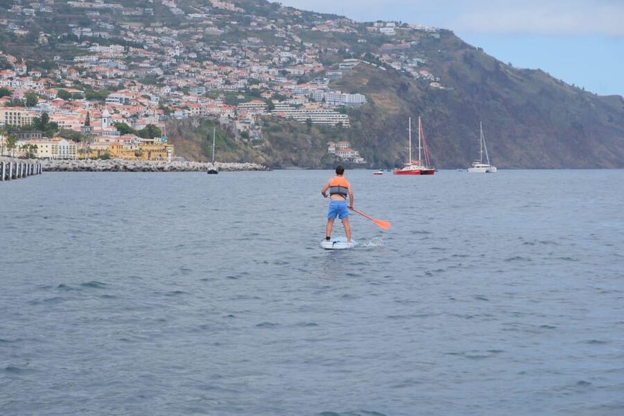 Funchal: Standup Paddle - The Coastline Glide: Views, Calm Water, and Marine Life