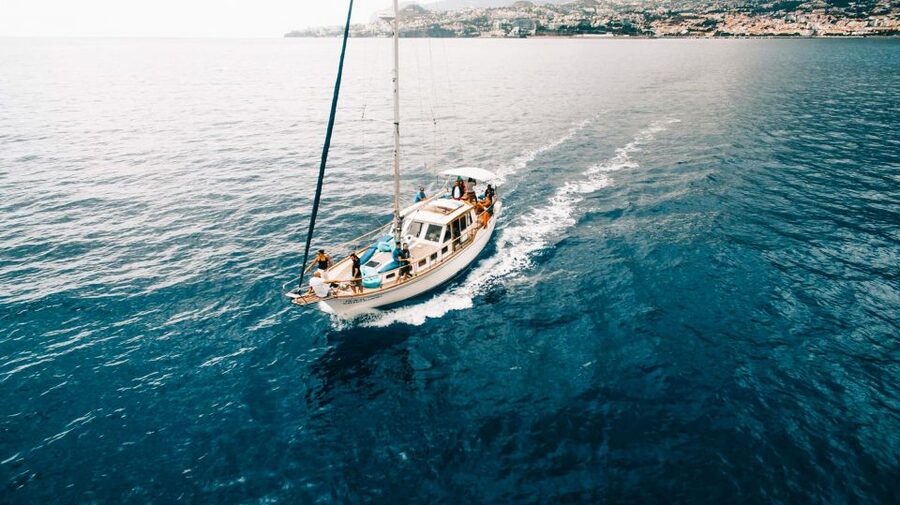 Funchal: Sunset Sailing Tour - Dolphins and Whales: Great Chance, Not a Guarantee