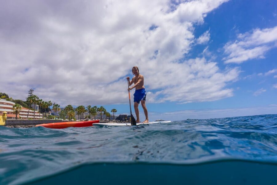 Funchal: SUP Rental or Guided tour with snorkeling - SUP + Snorkeling in Funchal: why this setup makes sense