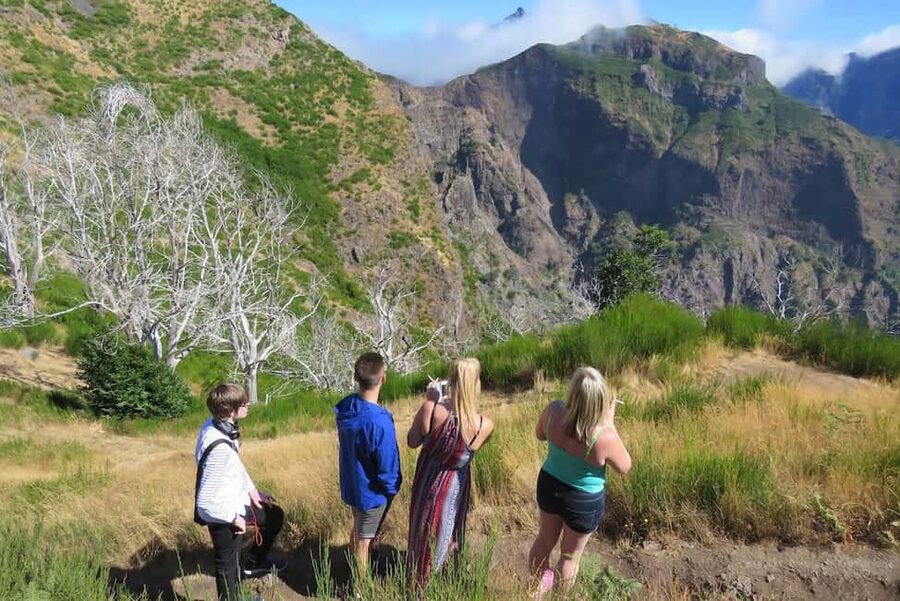 Funchal: Surprise Madeira Highlights for Cruise Guests - Key Highlights You’ll Feel Immediately