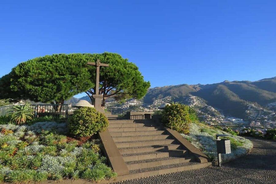 Funchal: Surprise Madeira Highlights for Cruise Guests - Price and Value: Is $64 Worth It?