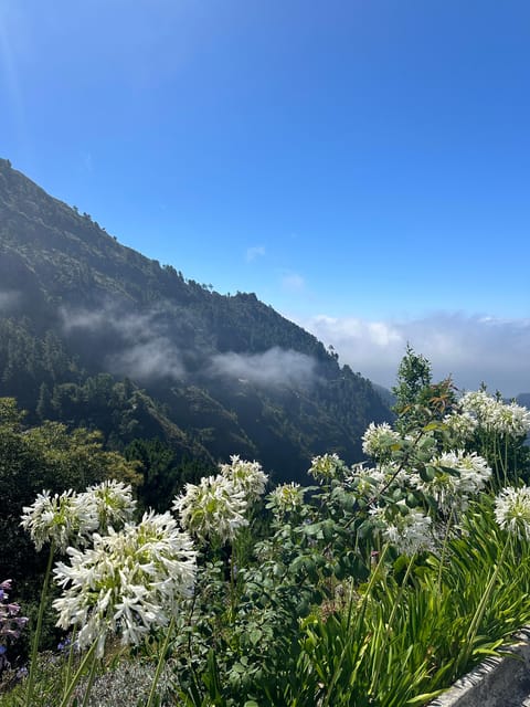 Funchal: Valley of the Nun’s tour by tuk tuk - Eira do Serrado: The 1,094 Metre View Over Curral das Freiras