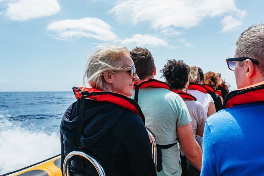 Funchal: Whale and Dolphin Watching Speed Boat Tour - Getting close, without turning it into chaos