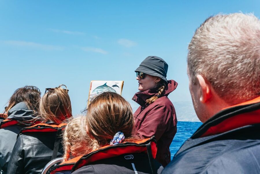 Funchal: Whale and Dolphin Watching Speed Boat Tour - Photos and spotting tips that actually help