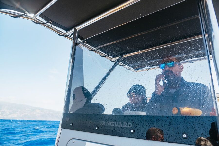 Funchal: Whale and Dolphin Watching Speed Boat Tour - Ride comfort: seasickness, seating, and what to pack