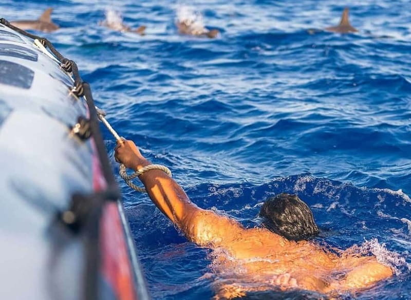 Funchal: Whale Watching and Swimming with Dolphins Cruise - Marine biologist on board: learning that changes how you look