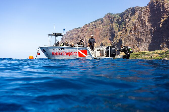 Garajau National Park Dive from Funchal for Certified Divers - Garajau National Park and the kind of fish you actually travel for