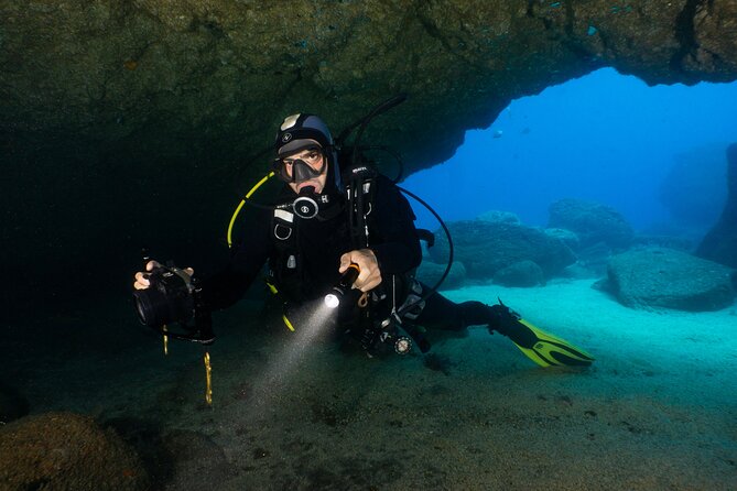 Garajau National Park Dive from Funchal for Certified Divers - Getting to the water: start at Hotel Carlton area, then it’s straight into gear prep