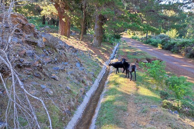 Gastro hike (Private Tour) - Price and Value: Is $96.12 a Good Deal?