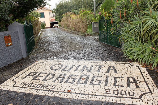 Go South Tour - Madeira Island Excursion - Stop 1: Ponta do Sol for the pebbled beach and classic coastline views