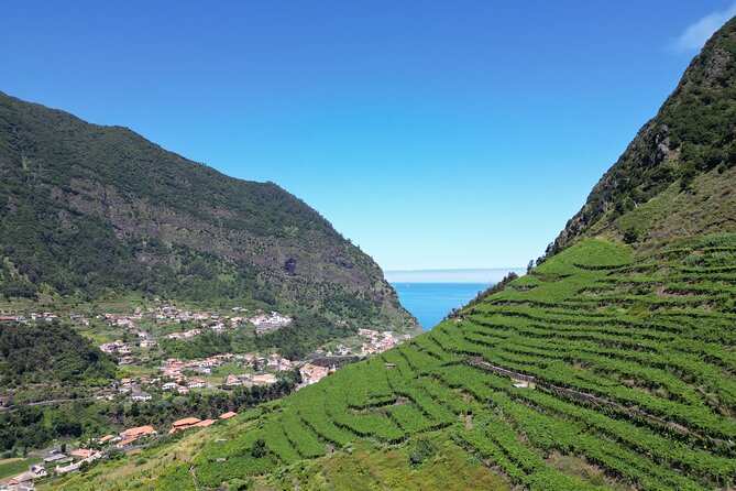 Guided 4x4 Adventure and Skywalk with Wine and Tapas in Madeira - Quinta do Barbusano: wine, tapas, and what the tasting add-on means