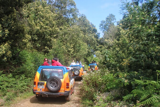 Guided Exploration of Southwest Madeira in a 4x4 - Price and what you actually get for $70.29