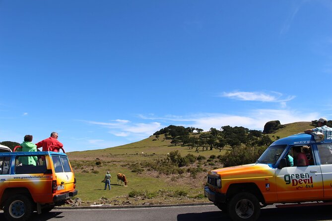 Guided Exploration of Southwest Madeira in a 4x4 - Ponta do Sol (Sun Point): cliffside village with a relaxed tempo