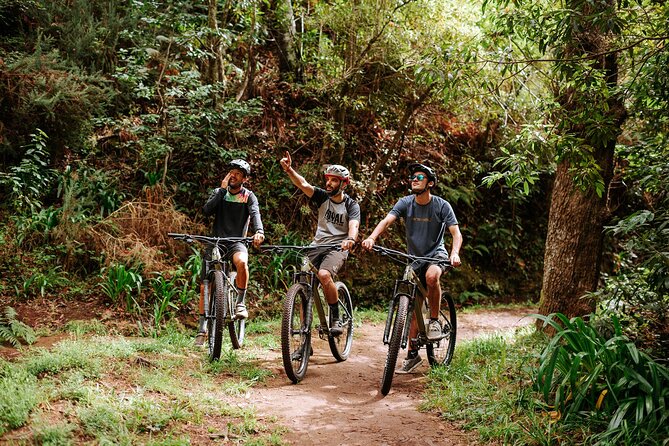 Guided Tour Electric Mountain Bike Experience - Camacha, Levadias, and Why This 4-Hour E-Bike Works