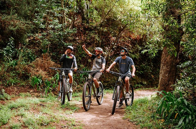 Guided Tour Electric Mountain Bike Experience - What Can Go Wrong (Mostly Expectation Stuff, Not Safety Stuff)