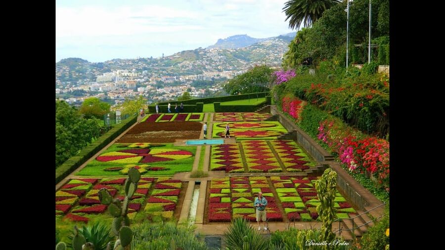 Guided Tuk-Tuk Tour to Botanical Garden (From Funchal) - Key things worth knowing before you ride