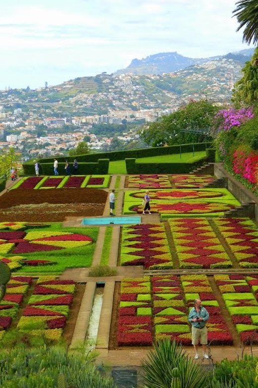 Guided Tuk-Tuk Tour to Botanical Garden (From Funchal) - From Funchal to Quinta do Bom Sucesso: what this tuk-tuk format gives you