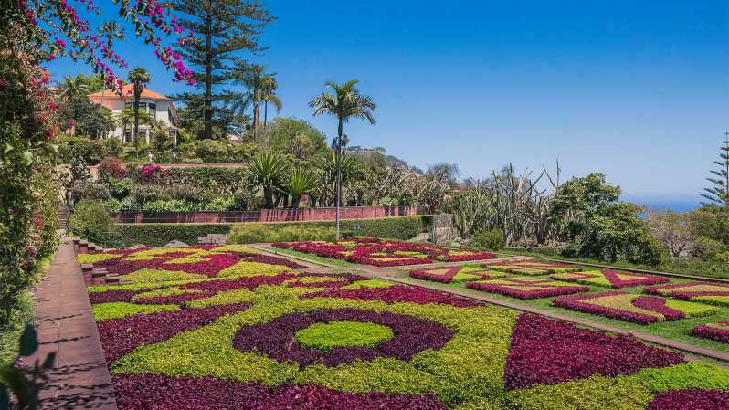 Guided Tuk-Tuk Tour to Botanical Garden (From Funchal) - Madeira Botanical Garden at Quinta do Bom Sucesso: why the plants matter here