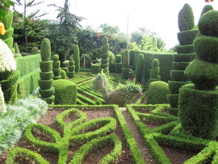 Guided Tuk-Tuk Tour to Botanical Garden (From Funchal) - Price and logistics: is $74 for up to 2 good value?