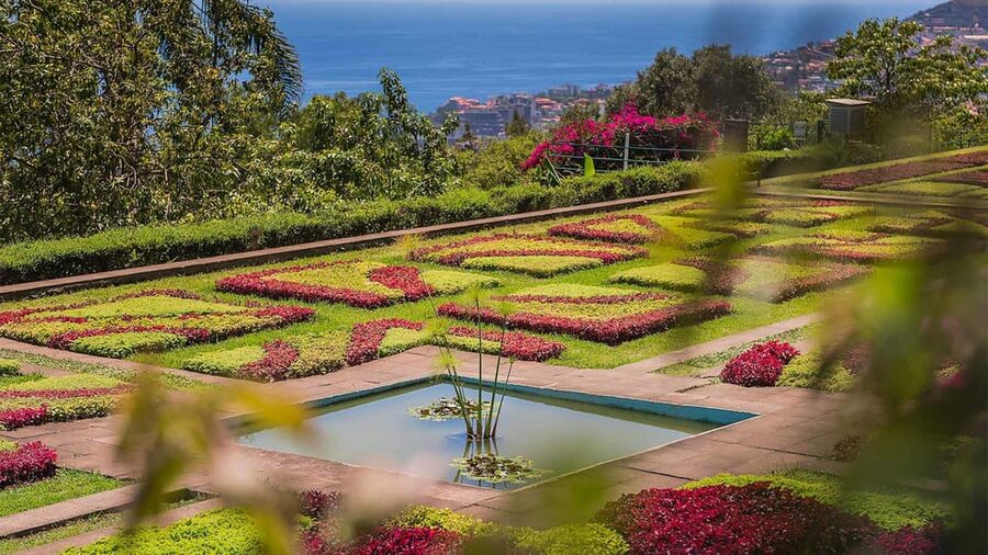 Guided Tuk-Tuk Tour to Botanical Garden (From Funchal) - What to expect on the ground: comfort rules and practical limits