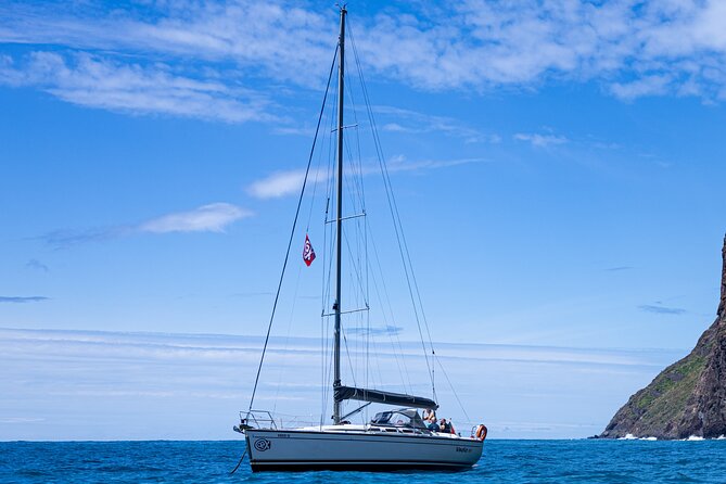 Half-Day Boat Trip Madeira Funchal- Private Yacht Snacks & Drinks - Key things to know before you go