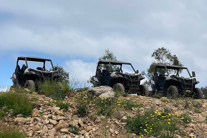 Half-Day Buggy Tour from Câmara de Lobos - From Câmara de Lobos to the trails fast: how the tour starts