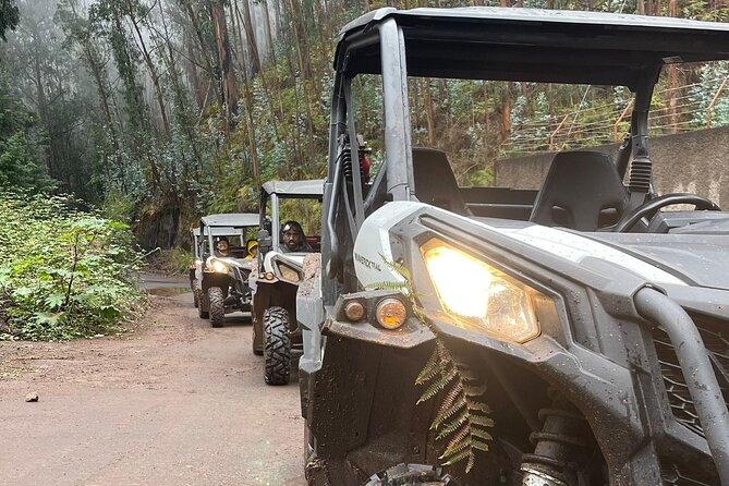 Half-Day Buggy Tour from Câmara de Lobos - Price and value for an ATV tour with pickup and a group cap