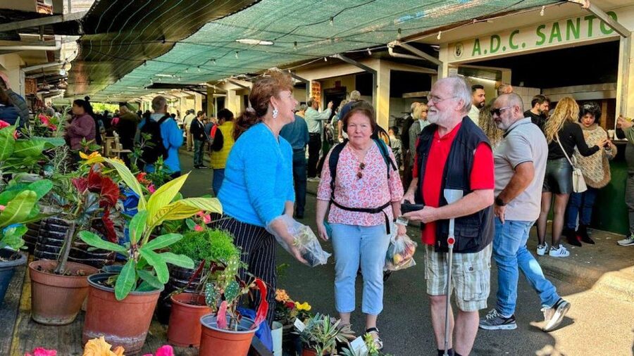 Half-Day Country Market Tour on Madeira Island - Tips to Make the Most of the Markets and Gardens