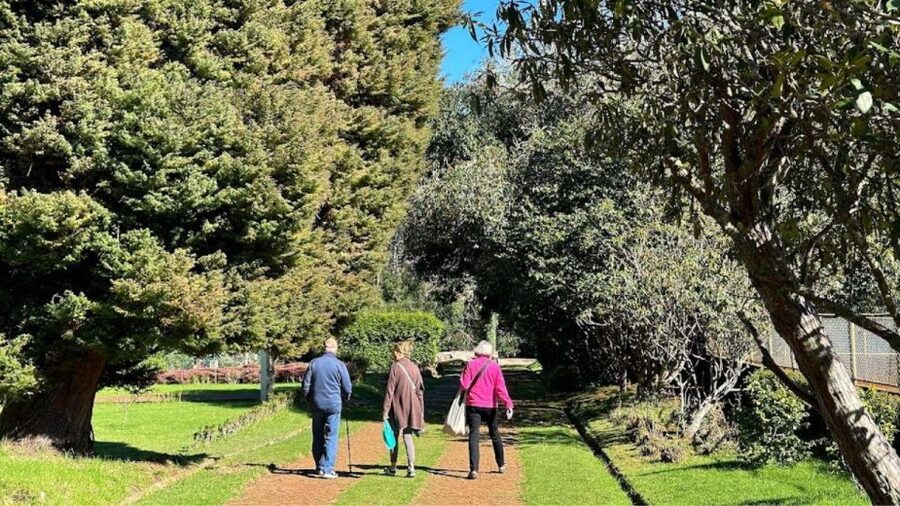 Half-Day Country Market Tour on Madeira Island - Santo da Serra Agricultural Market: The Real Food and Culture Moment