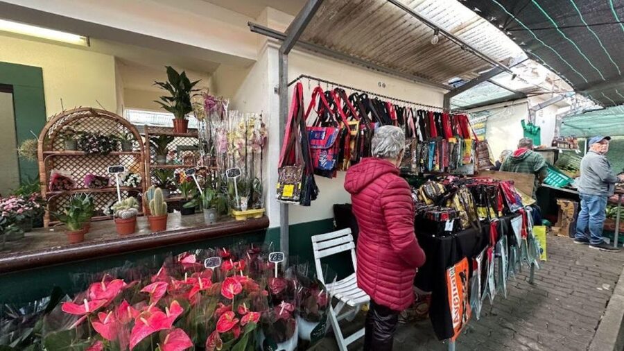 Half-Day Country Market Tour on Madeira Island - Who Should Book This Tour, and Who Might Not