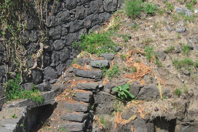 Half day jeep Wine tour and tasting, & sea cliff adventure - Guides and group size: small enough to feel personal