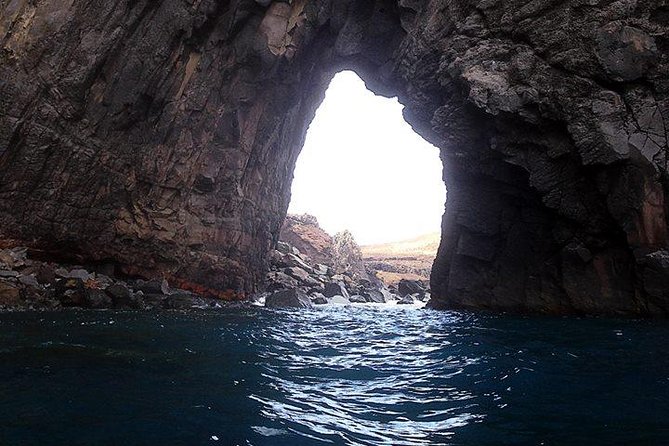 Half day kayak tours - Logistics that matter: meeting point, timing, and what to bring