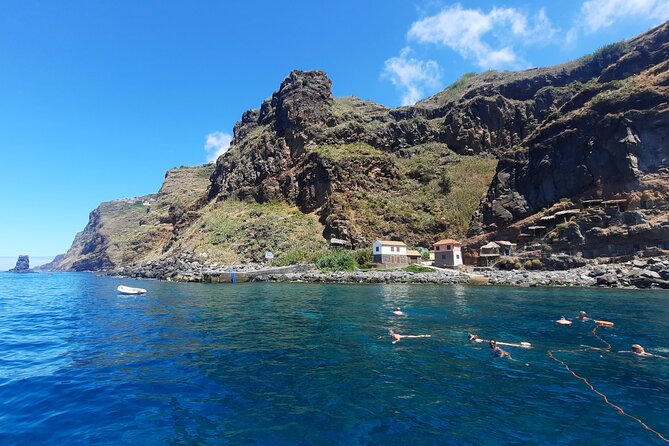 Half Day Madeira Island Cruise with Lunch - Wildlife chances: whales, dolphins, and turtles, but with reality intact