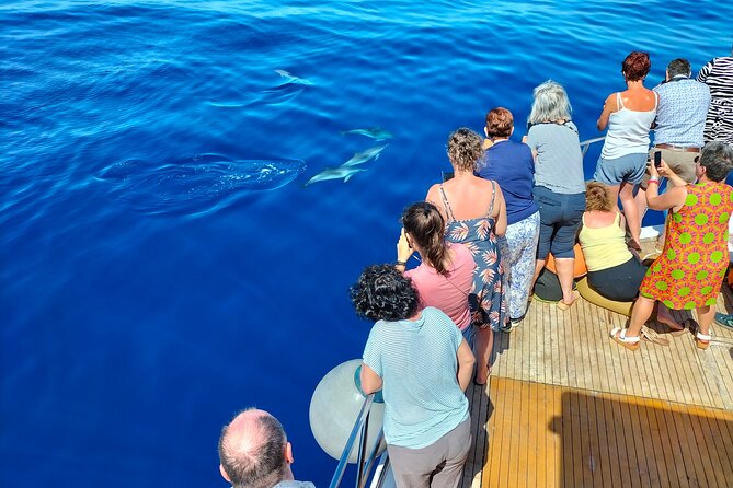 Half Day Madeira Island Cruise with Lunch - Price and value: what $83.87 buys you on Madeira’s water