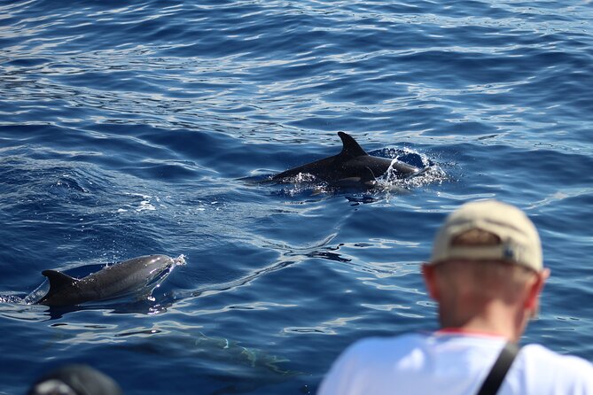 Half Day Madeira Island Cruise with Lunch - Your sea day on Madeira: comfortable boat time, not a cattle car