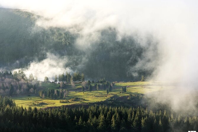 Half Day of Secrets: Madeira 4x4 Private Tour - How the Madeira 4x4 half-day tour really feels