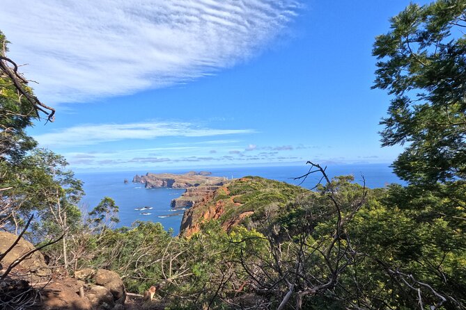 Half Day of Secrets: Madeira 4x4 Private Tour - The “$228.27 per group” value, explained plainly