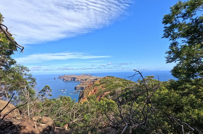 Half Day of Secrets: Madeira 4x4 Private Tour - Who should book this tour (and who might skip it)