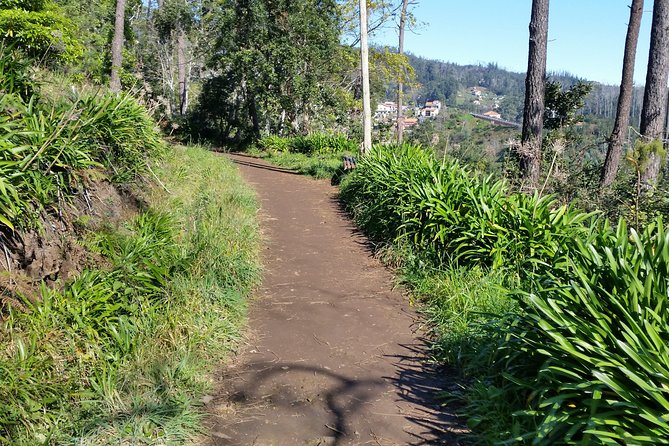 Half-Day Paradise Valley Walking Tour - Key highlights to know before you go