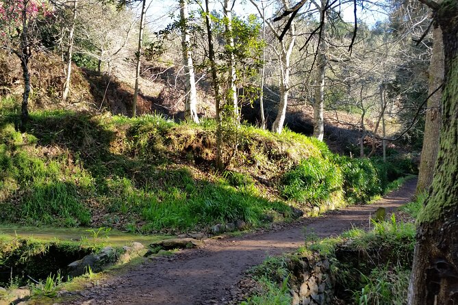 Half-Day Paradise Valley Walking Tour - Paradise Valley at walking speed: why this tour works