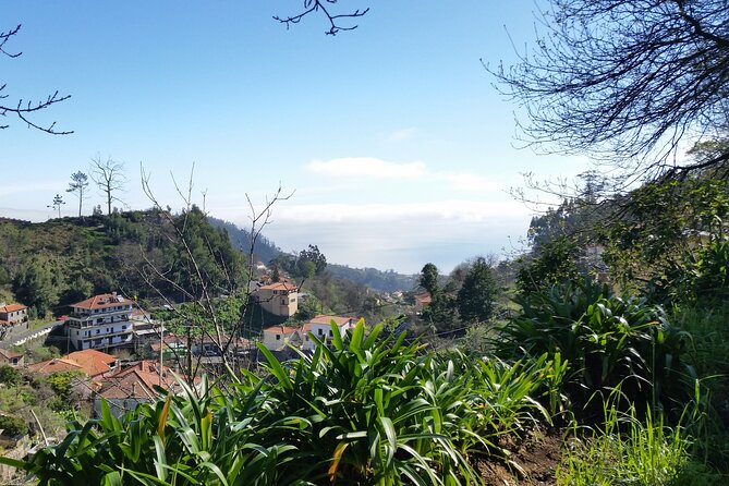 Half-Day Paradise Valley Walking Tour - Levadas make it feel distinctly Madeira