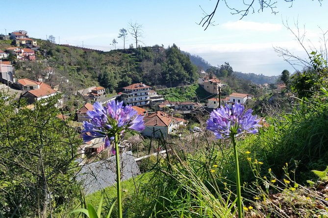 Half-Day Paradise Valley Walking Tour - Pickup, timing, and how to plan your morning