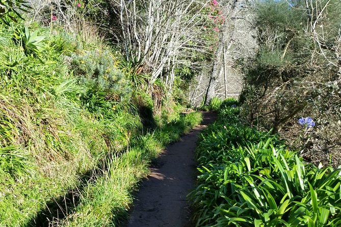 Half-Day Paradise Valley Walking Tour - What’s included—and what you should bring