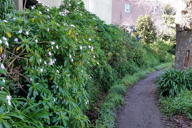 Half-Day Paradise Valley Walking Tour - Weather rules: why “good weather” is more than a disclaimer