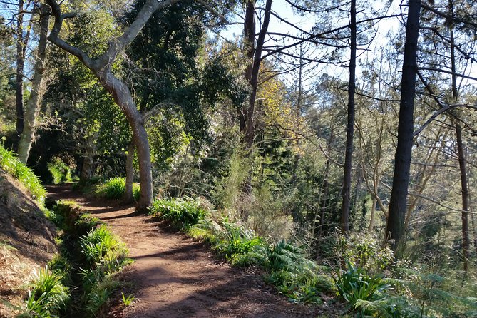 Half-Day Paradise Valley Walking Tour - The route: Vale do Paraíso to Rochão, and what you’ll actually see
