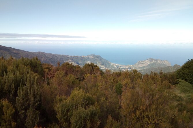 Half-Day Private Sidecar Tour on Madeira’s West Coast - Guides and the power of personalization (NooNoo and Nuno)